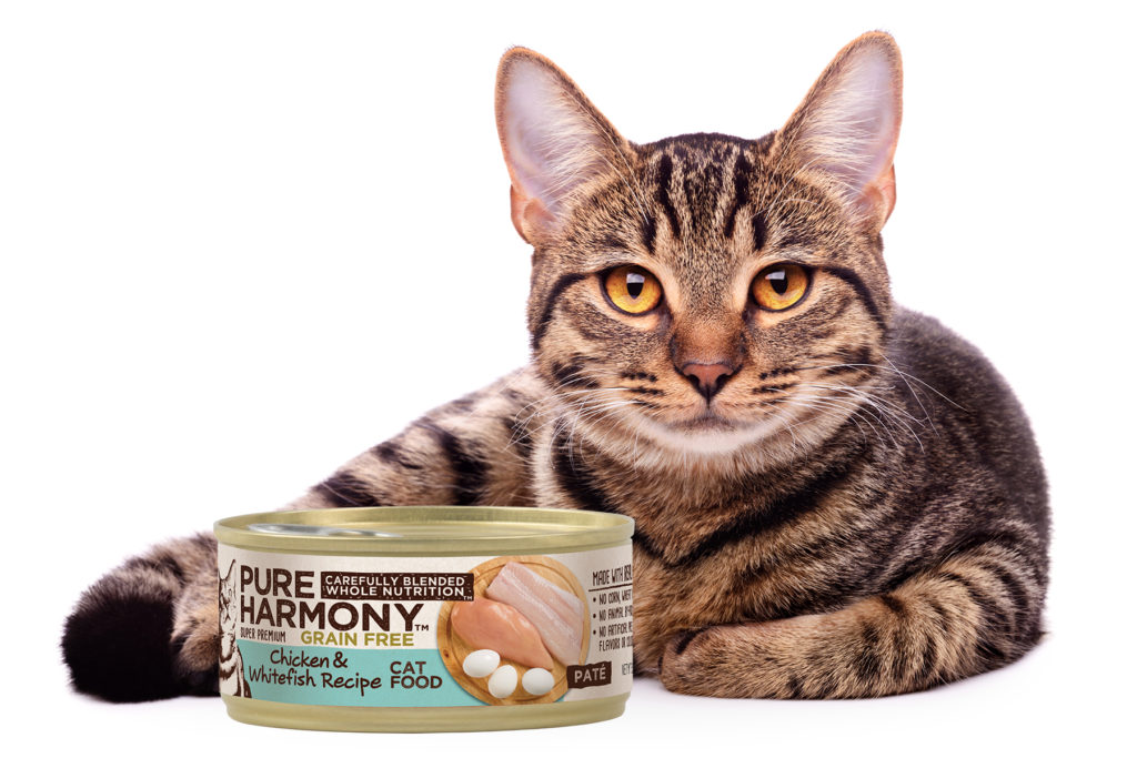 A tabby cat lying beside a can of Pure Harmony cat food